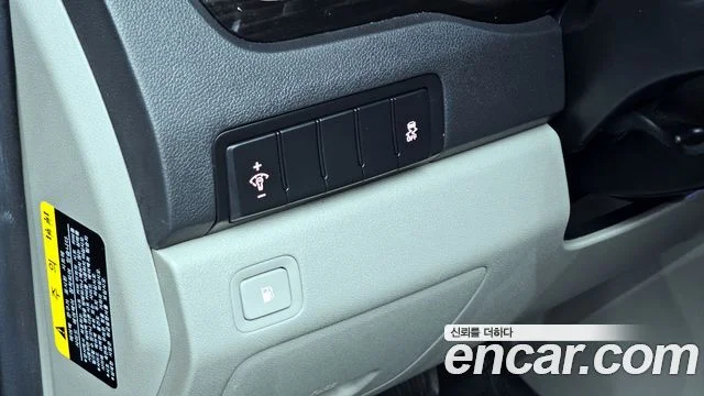 2018 Kia Carnival (New)