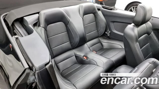 2019 Ford 머스탱