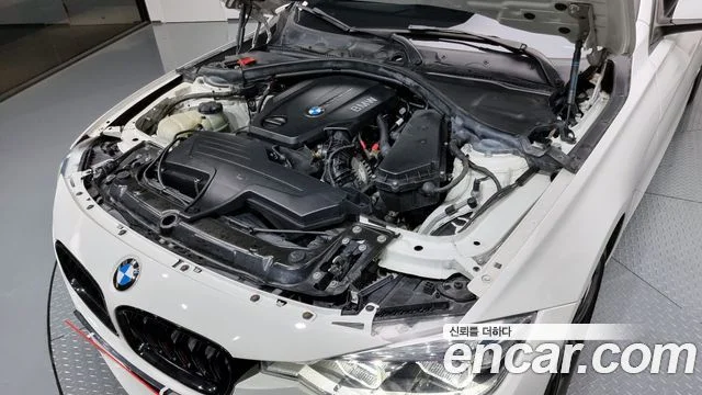 2017 BMW 3 Series (F30)