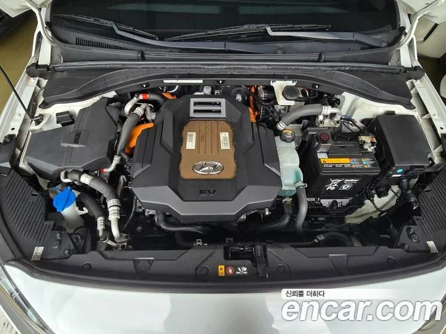 2018 Hyundai 아이오닉 일렉트릭