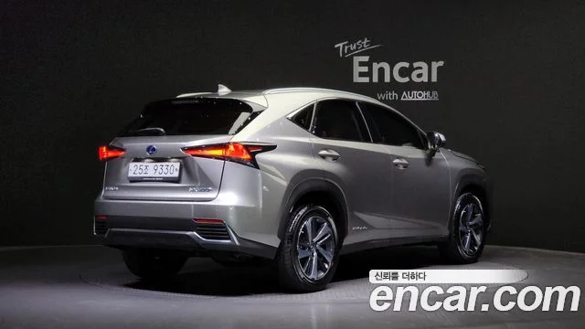 2018 Lexus NX300h