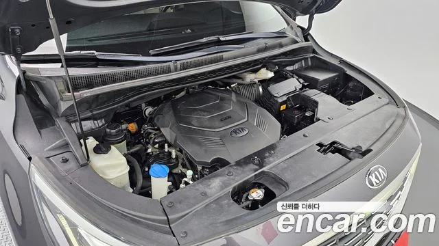 2019 Kia Carnival (New)