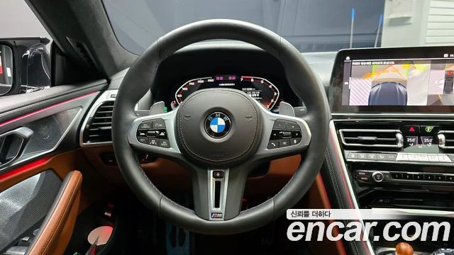 2024 BMW 8 Series (G15)