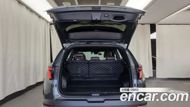 2020 Hyundai Tucson Hybrid (NX4)