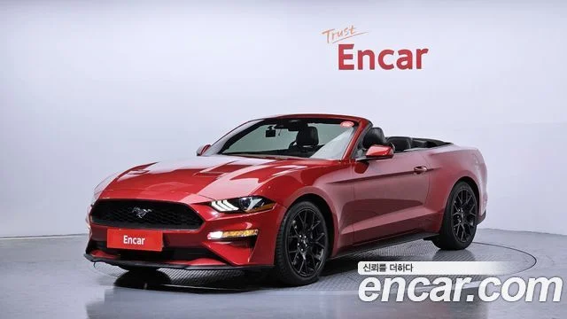 2021 Ford 머스탱