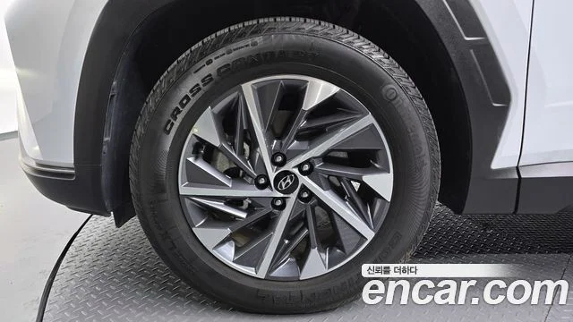 2021 Hyundai Tucson Hybrid (NX4)