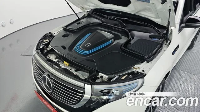 2020 Mercedes-Benz EQC N293