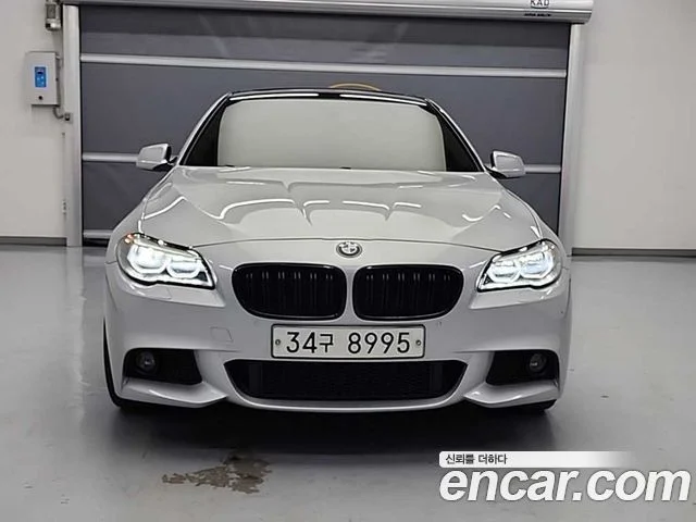 2010 BMW 5 Series (F10)