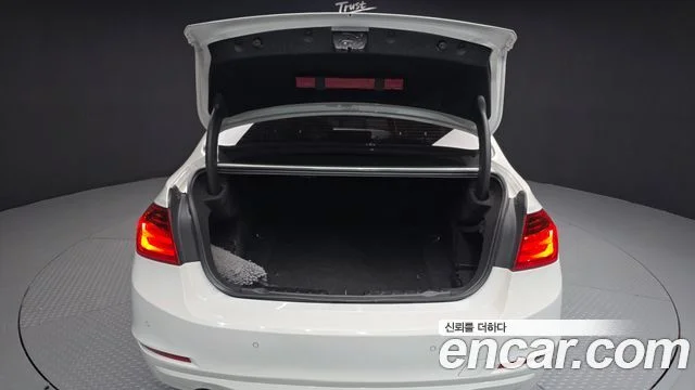 2015 BMW 3 Series (F30)