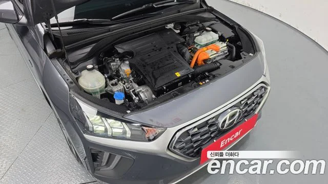 2019 Hyundai 더 뉴 아이오닉 하이브리드