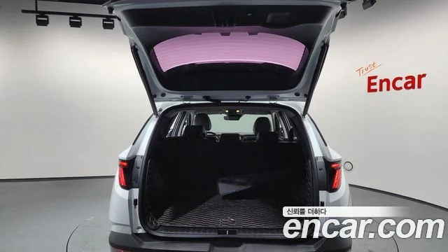 2021 Hyundai Tucson (NX4)