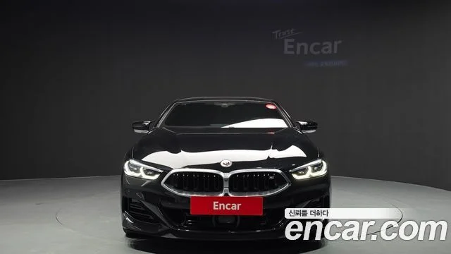 2023 BMW 8 Series (G15)