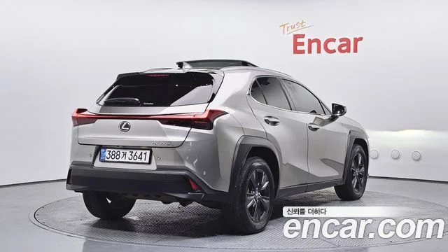 2024 Lexus UX300h