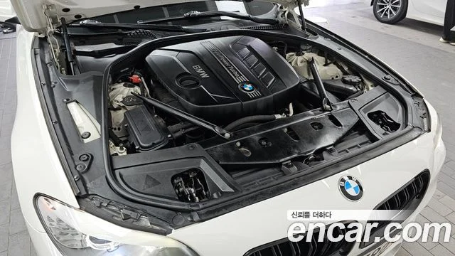 2013 BMW 5 Series (F10)