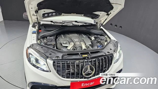 2017 Mercedes-Benz GLE-클래스 W166