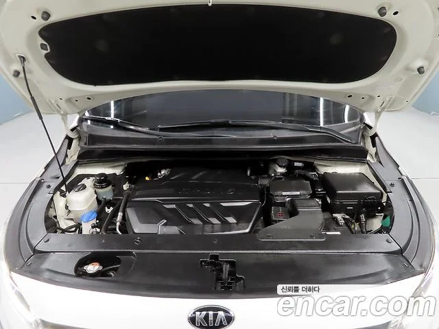 2019 Kia Carnival (New)