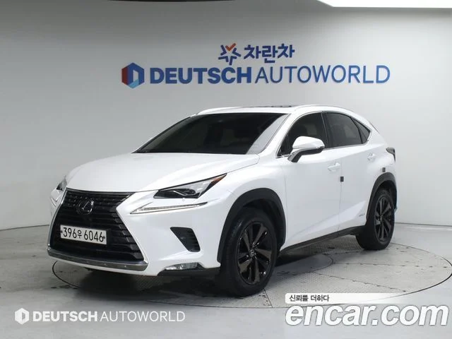 2019 Lexus NX300h