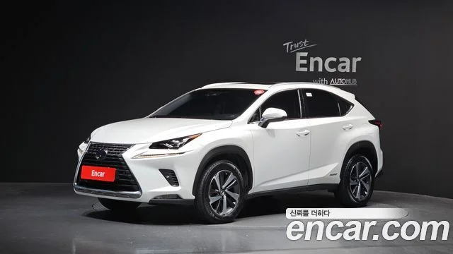 2018 Lexus NX300h