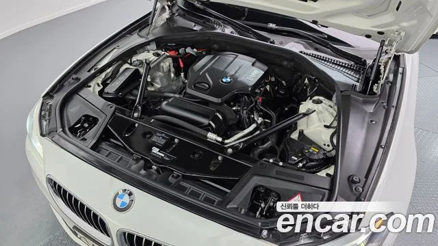 2016 BMW 5 Series (F10)