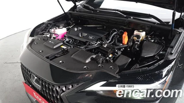 2024 Lexus NX350h 2세대