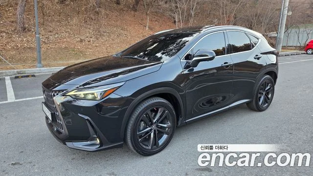 2023 Lexus NX350h 2세대