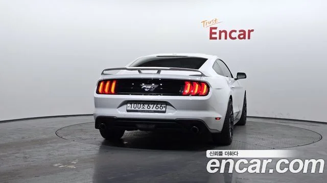 2019 Ford 머스탱