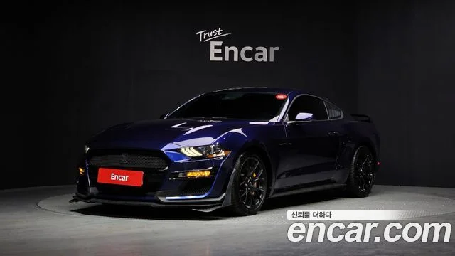2019 Ford 머스탱