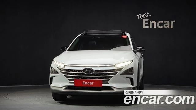 2019 Hyundai 넥쏘
