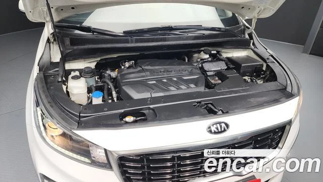 2019 Kia Carnival (New)