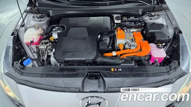 2022 Hyundai 아반떼 하이브리드 (CN7)