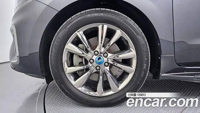 2019 Kia Carnival (New)