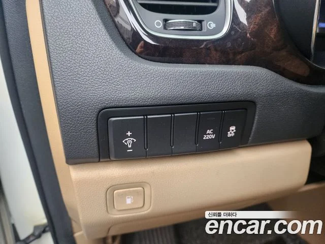 2019 Kia Carnival (New)