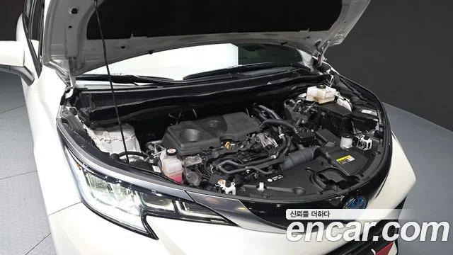 2021 도요타 시에나 4세대