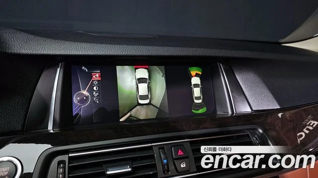 2016 BMW 5 Series (F10)