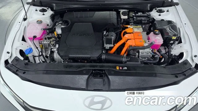 2024 Hyundai The New Avante Hybrid (CN7)