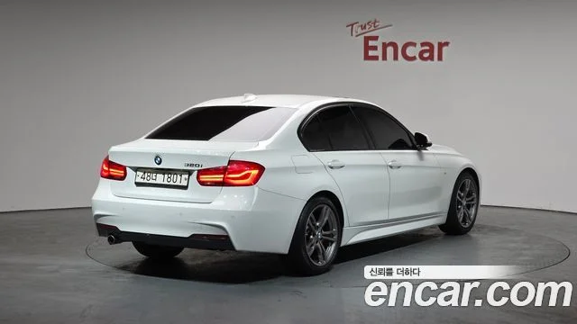 2017 BMW 3 Series (F30)