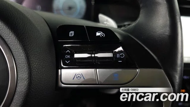 2022 Hyundai Tucson (NX4)