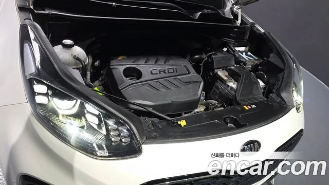 2019 Kia Sportage The Bold