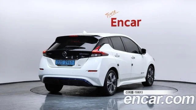 2019 Nissan 리프 (ZE1)