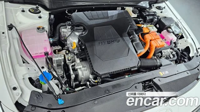 2025 Hyundai 더 뉴 아반떼 하이브리드 (CN7)