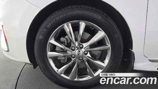 2019 Kia Carnival (New)