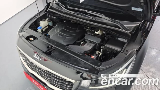 2019 Kia Carnival (New)