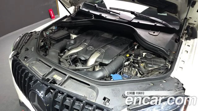 2017 Mercedes-Benz GLS-클래스 X166