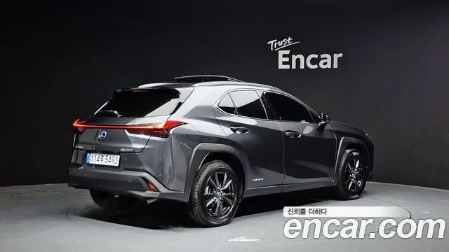 2022 Lexus UX250h