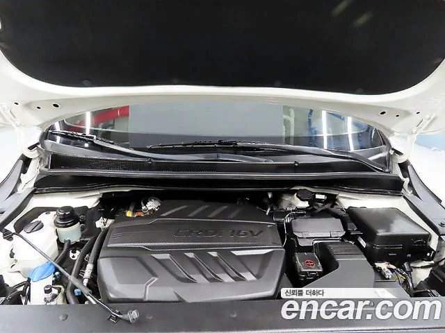 2019 Kia Carnival (New)