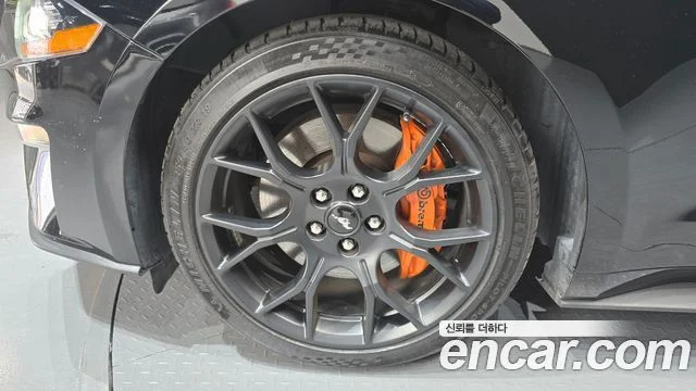 2019 Ford 머스탱