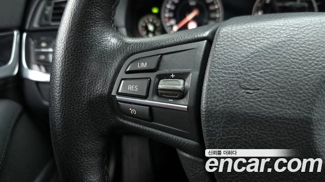 2016 BMW 5 Series (F10)