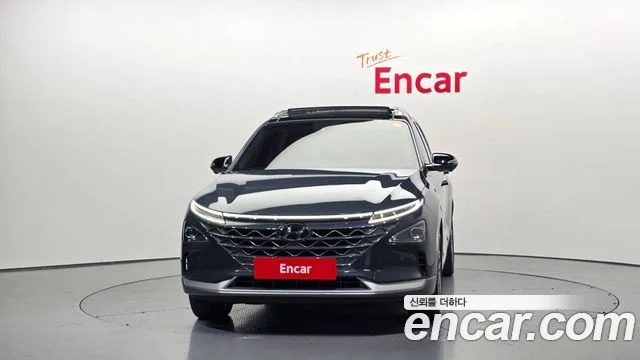2019 Hyundai 넥쏘
