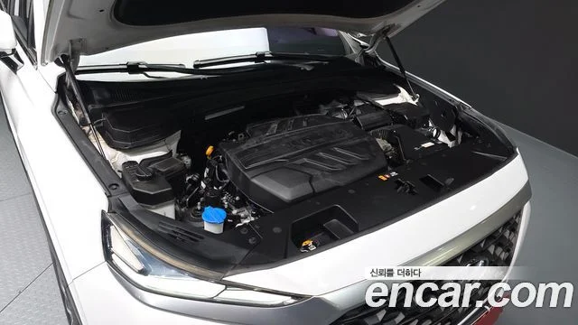 2019 Hyundai 싼타페 TM