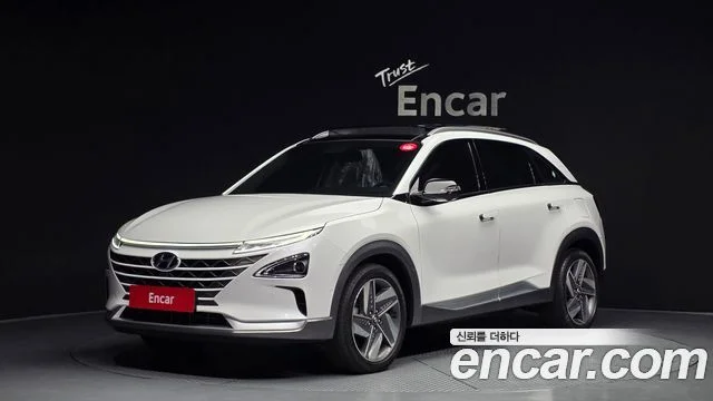 2021 Hyundai 넥쏘